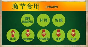 天燁食品科技 結(jié)構(gòu)粉技術(shù)引領(lǐng)全素、半素香腸與肉糜制品新風(fēng)向